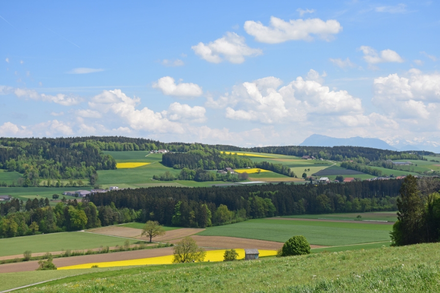 Spring Green