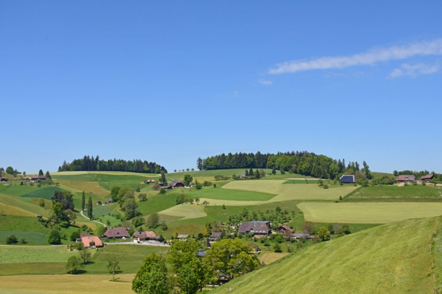 Emmental