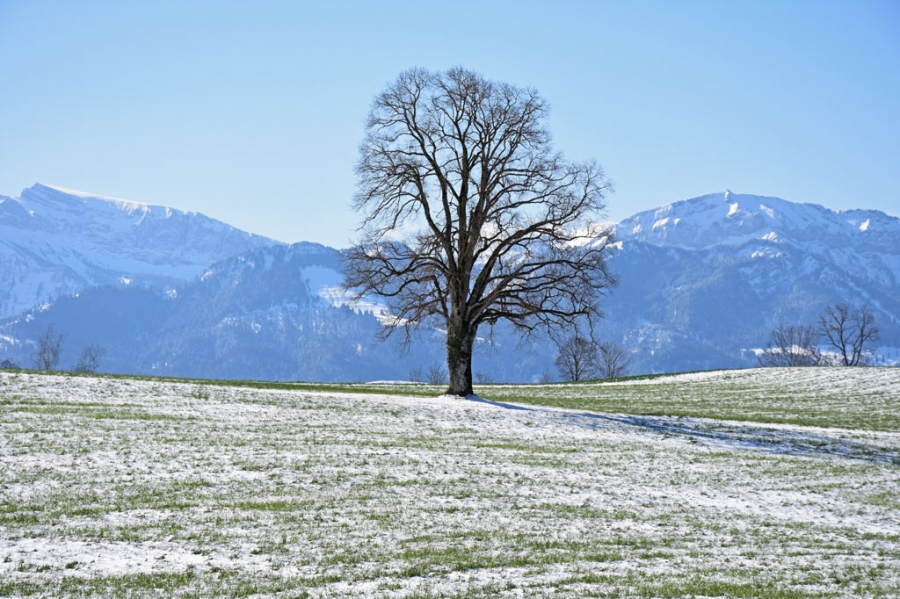 Der Frühling lässt auf sich warten