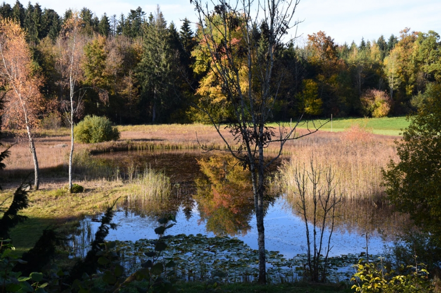 Herbst auf der Erlosen